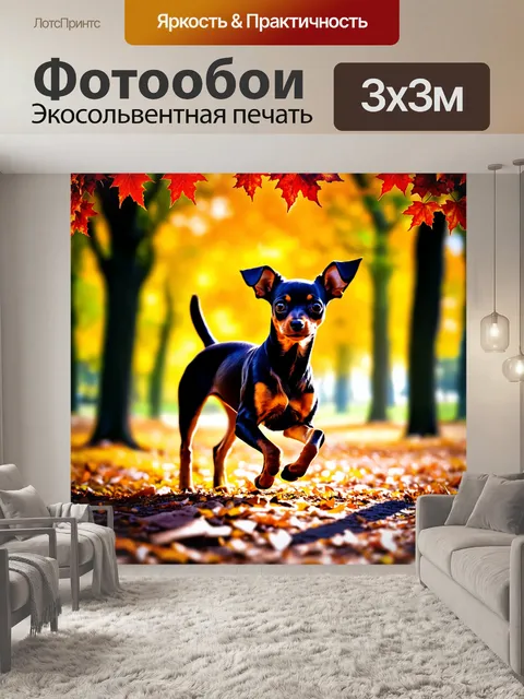 Фотообои изображение той-терьера
