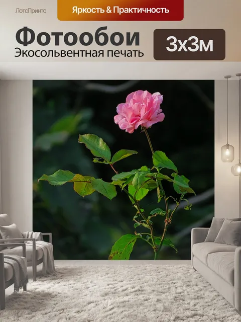 Фотообои Розовый