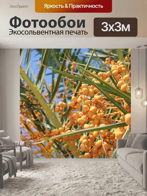 Фотообои Фрукты