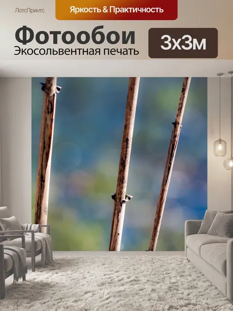Фотообои Природа
