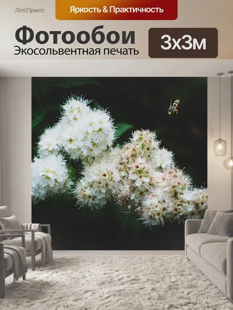 Фотообои Пчела