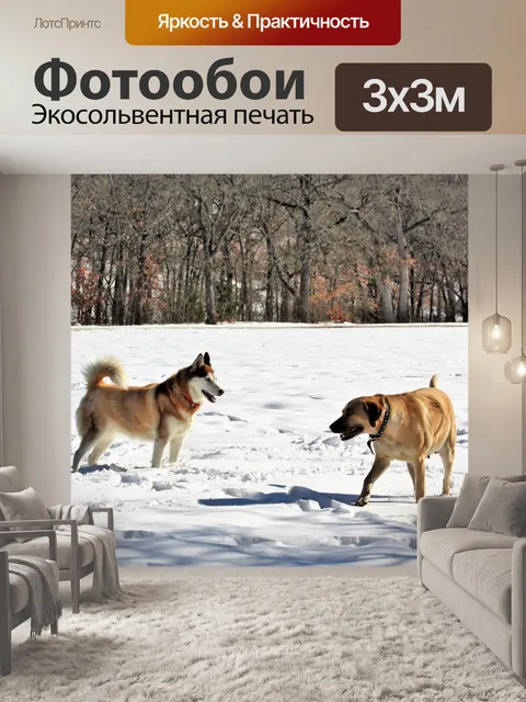 Фотообои Две собаки, играющие в снегу