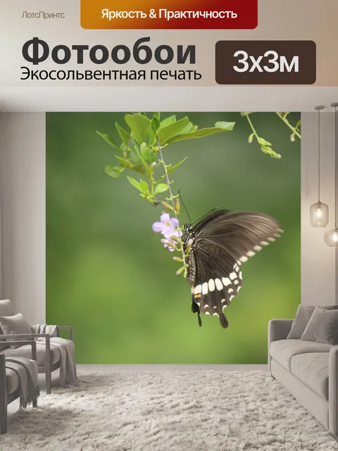 Фотообои Бабочка