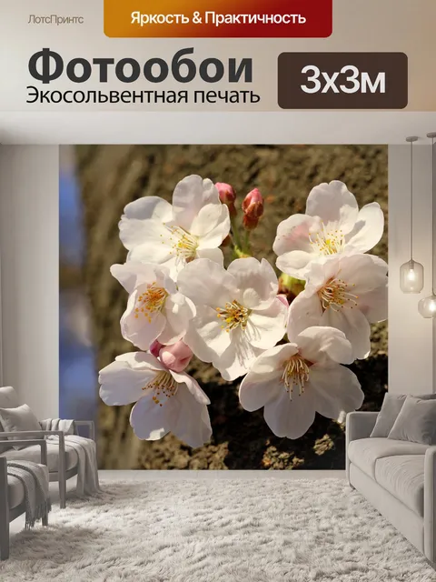 Фотообои Цветы