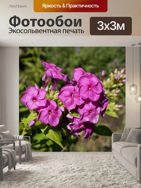 Фотообои Цветы