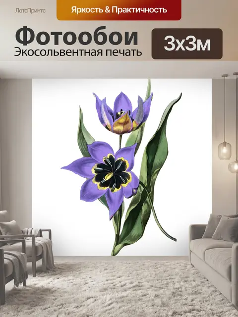 Фотообои Винтажные иллюстрации цветок тюльпана