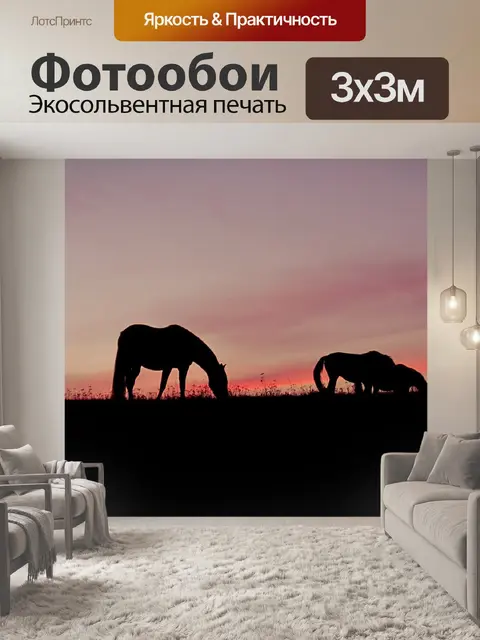 Фотообои Лошади