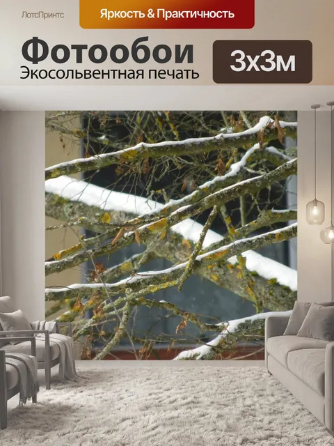 Фотообои Природа