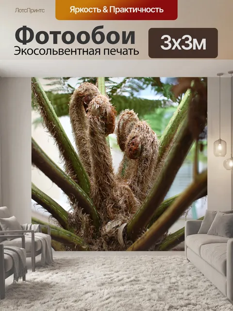 Фотообои Австралийское дерево Папоротник Frond бр