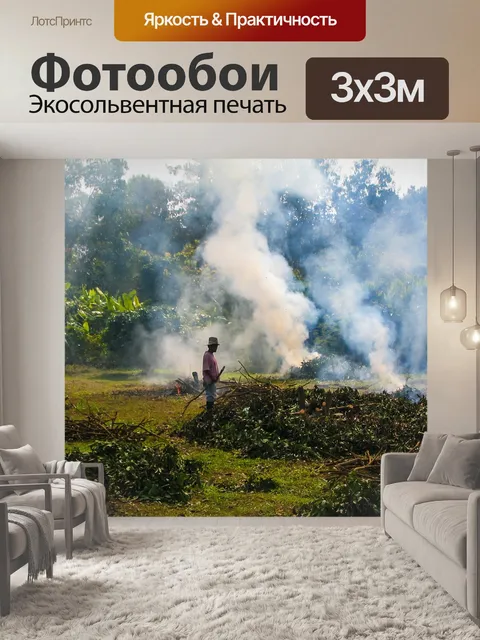 Фотообои Курить