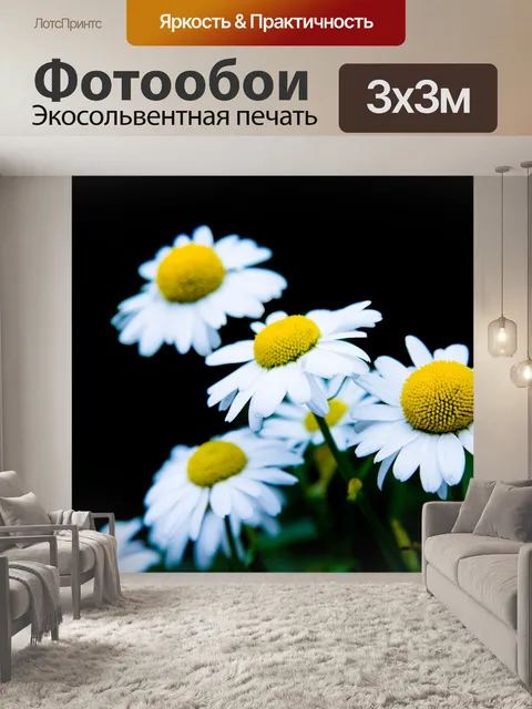 Фотообои Дейзи цветы