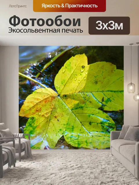 Фотообои Лист