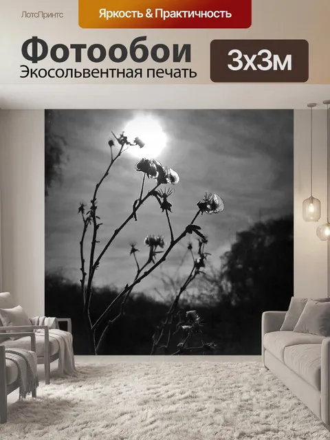 Фотообои Цветы