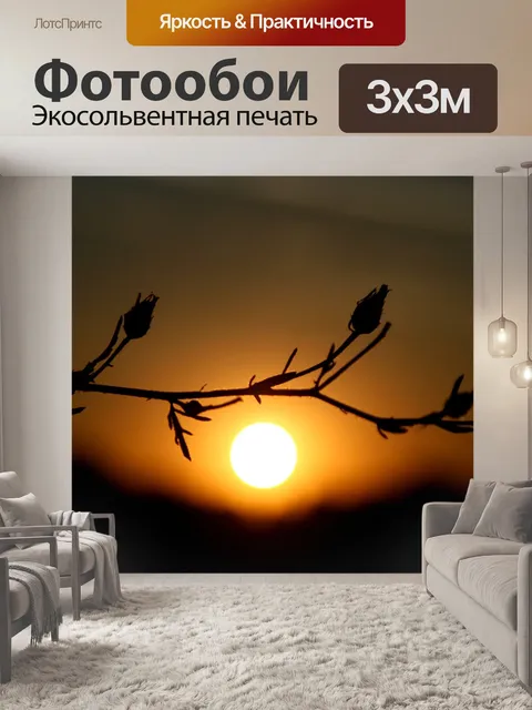 Фотообои Поднялся