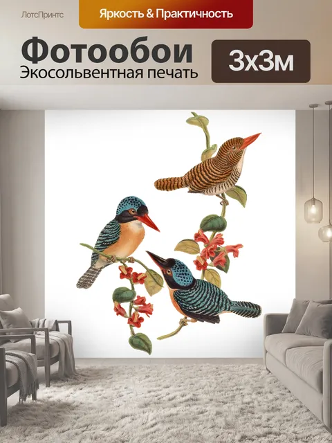 Фотообои Птицы