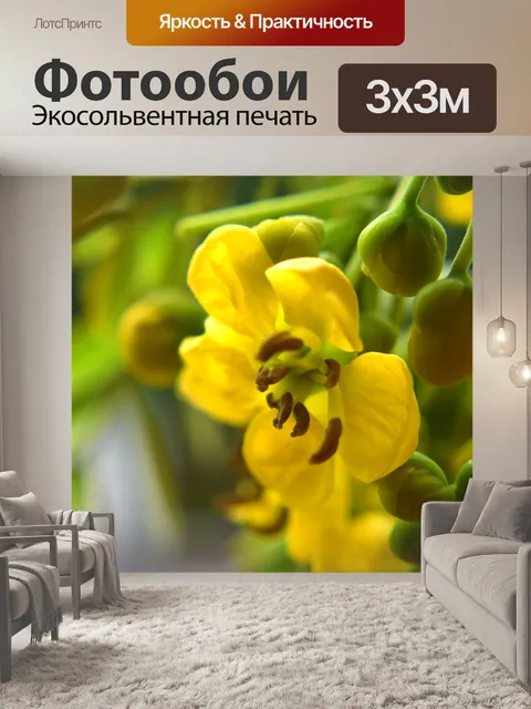 Фотообои Бутербродные цветы 2