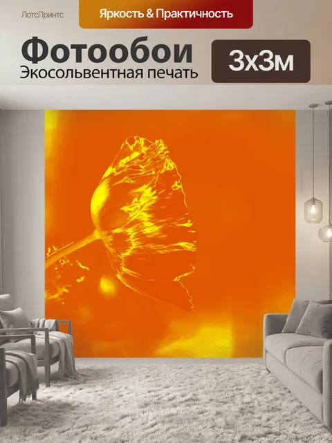 Фотообои цветок мака с золотым градиентом