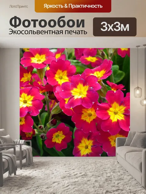 Фотообои Первоцветы