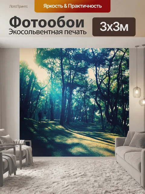 Фотообои Лес