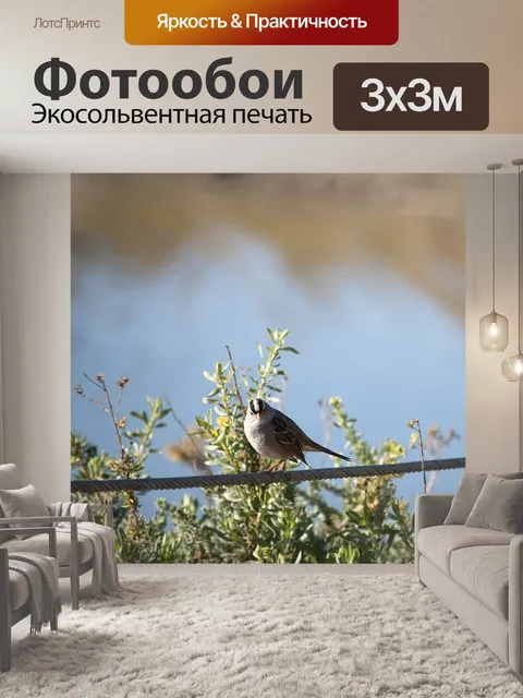 Фотообои Птица на проволоке