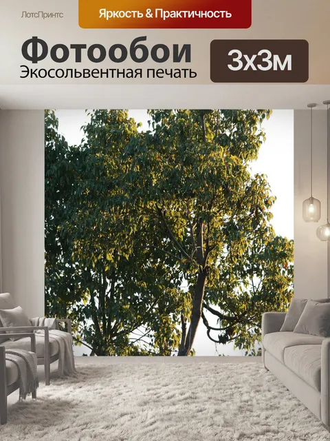 Фотообои Солнце на дереве