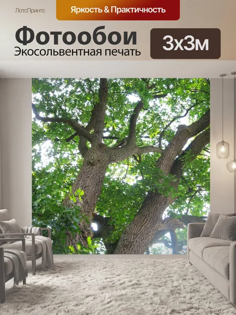 Фотообои Деревья