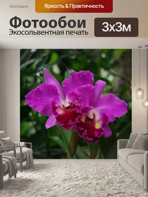 Фотообои орхидея