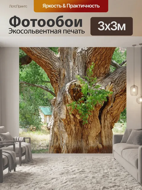 Фотообои Дерево