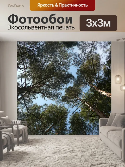 Фотообои деревья и голубое небо