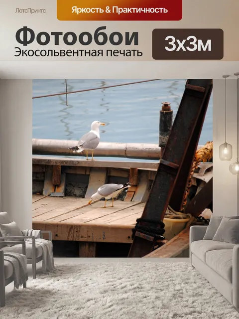Фотообои Чайка на лодке