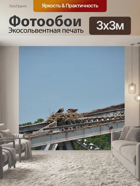 Фотообои Белогрудые