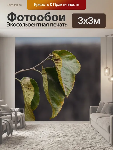 Фотообои Листья