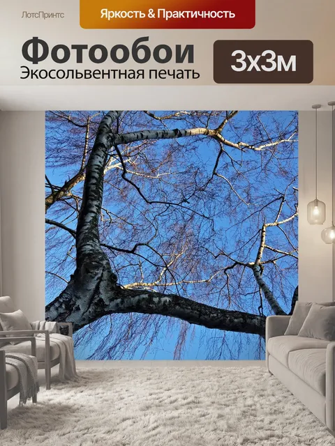 Фотообои Дерево березы