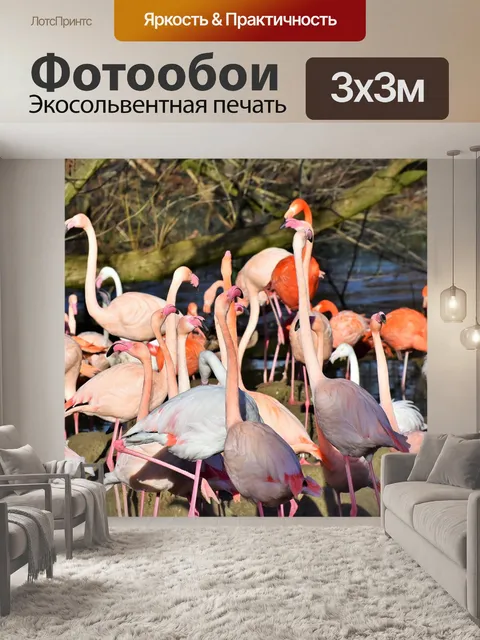 Фотообои Фламинго
