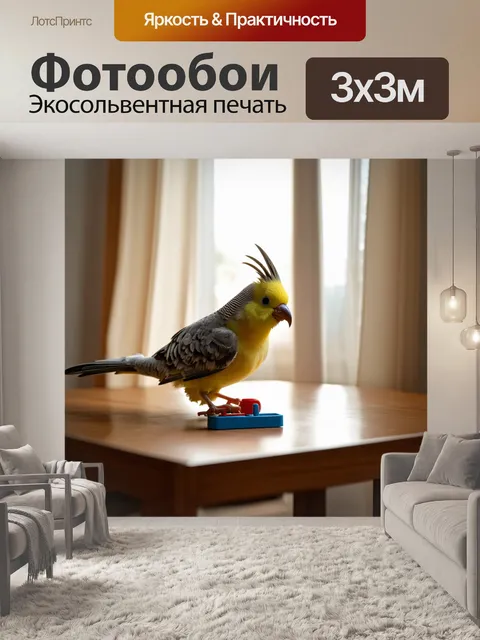Фотообои корелла, играющая с игрушкой на столе в уютной комнате, где свет пробивается сквозь занавески