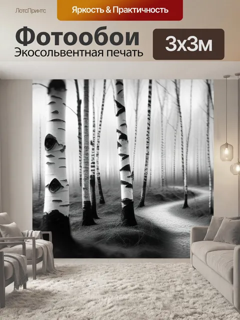 Фотообои лес пейзаж с березой чернобелый