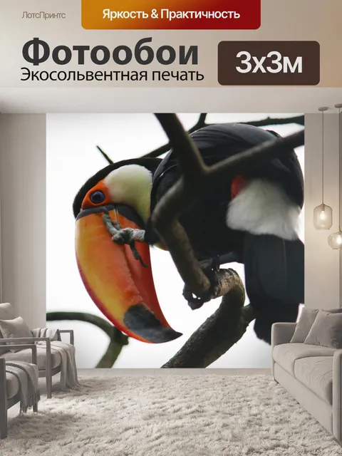 Фотообои Птица