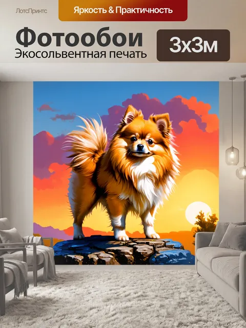 Фотообои на фоне живописного заката, померанский шпиц стоит на скале, ветер треплет его шерсть