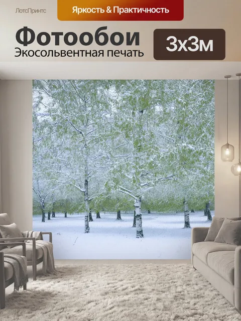 Фотообои березовая роща с пушистым снежным покровом на ветвях, одевающим природу в белизну