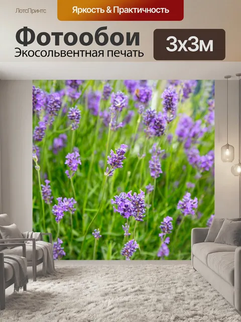 Фотообои Лаванда цветок