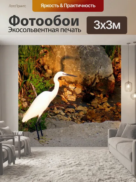 Фотообои Птицы