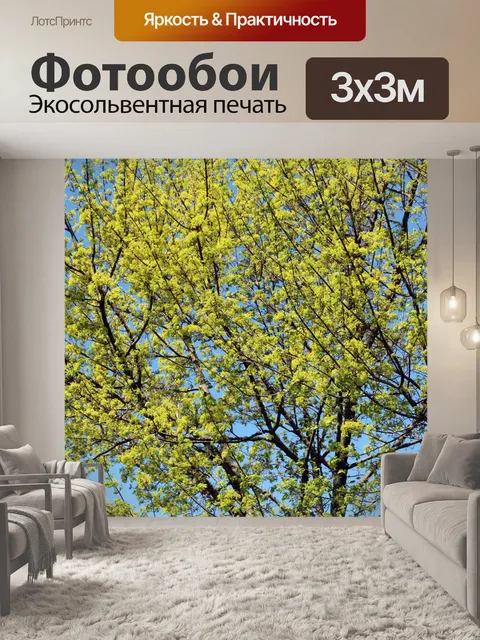 Фотообои Клен дерево в цвету