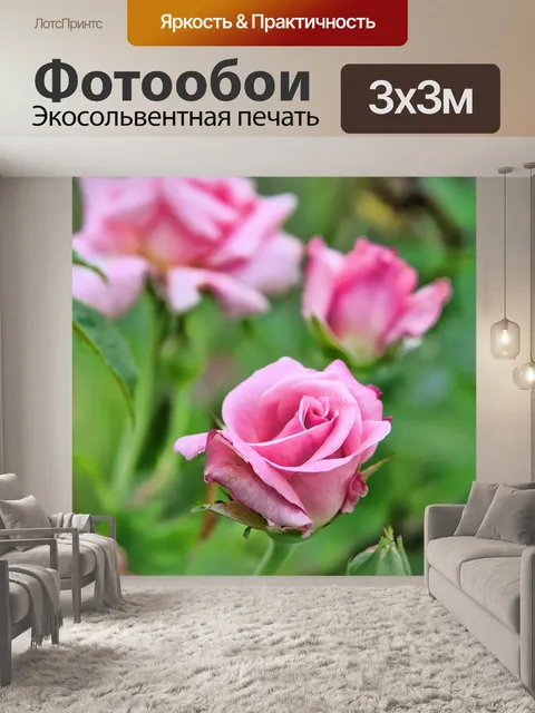 Фотообои Розы