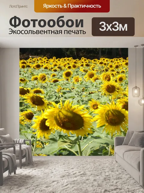 Фотообои Подсолнечное поле