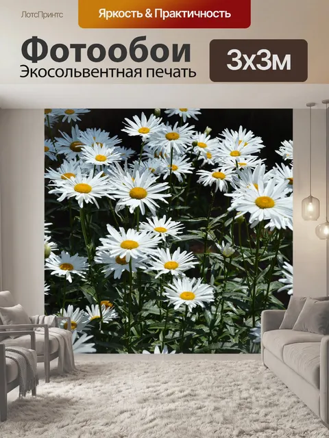 Фотообои Цветы