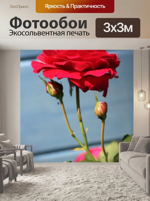 Фотообои Розы
