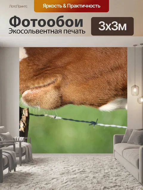 Фотообои Корова