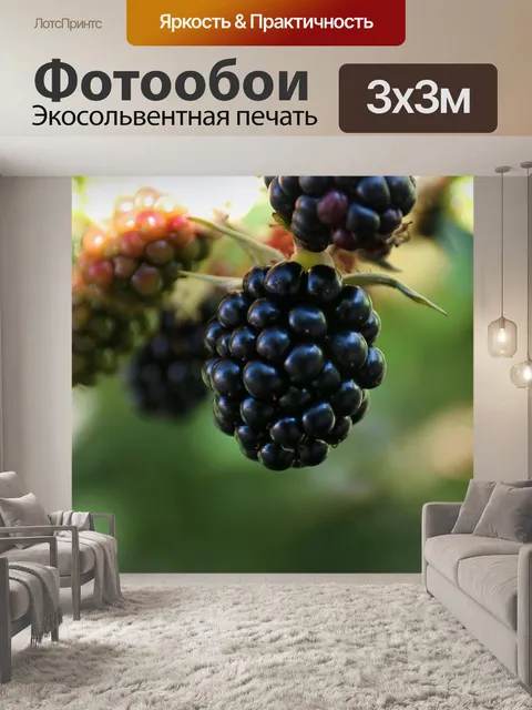 Фотообои Фрукты