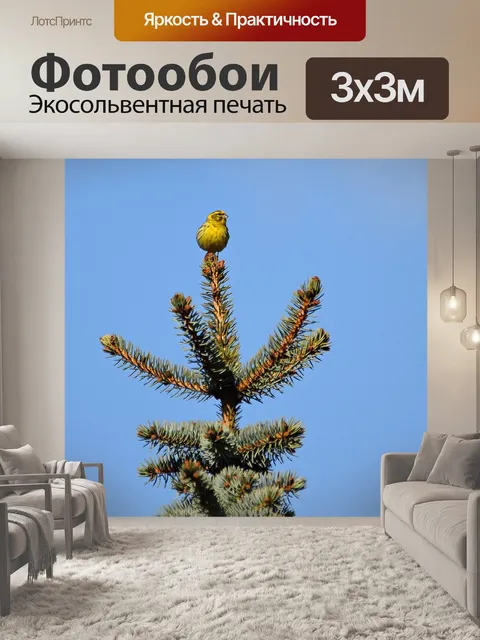 Фотообои Птица