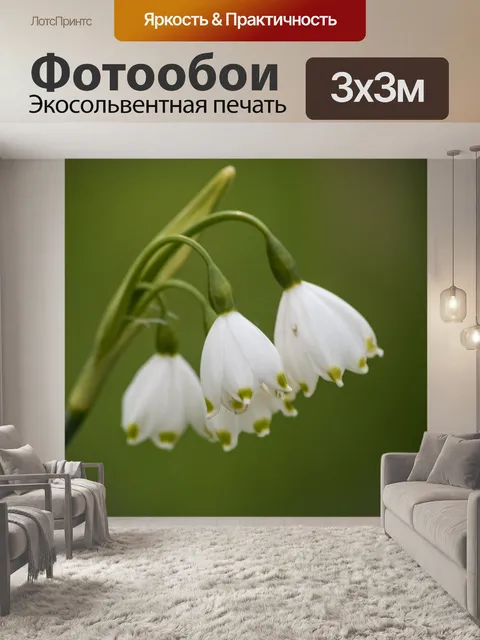 Фотообои Белый
